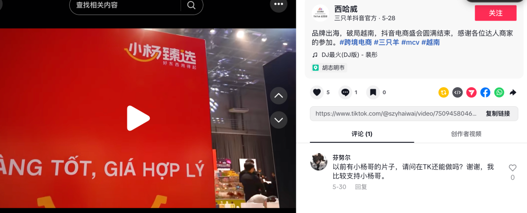 单月涨粉20万,疯狂小杨哥徒弟“红绿灯的黄”在TikTok杀疯了