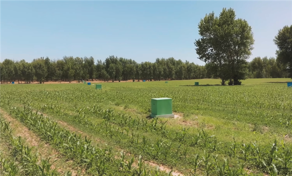 在玉米地和牧场里采铀!中国的铀矿到底是怎么开采的