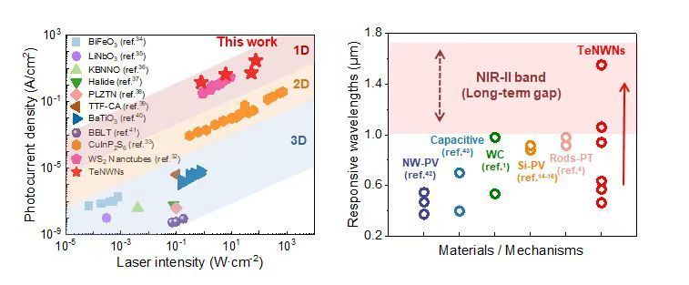 《科学》刊文!复旦科学家通过脑机接口,使失明动物恢复视觉功能