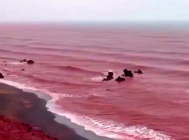 伊朗霍尔木兹岛部分海岸线变成“血色海洋”。图源:阿联酋媒体