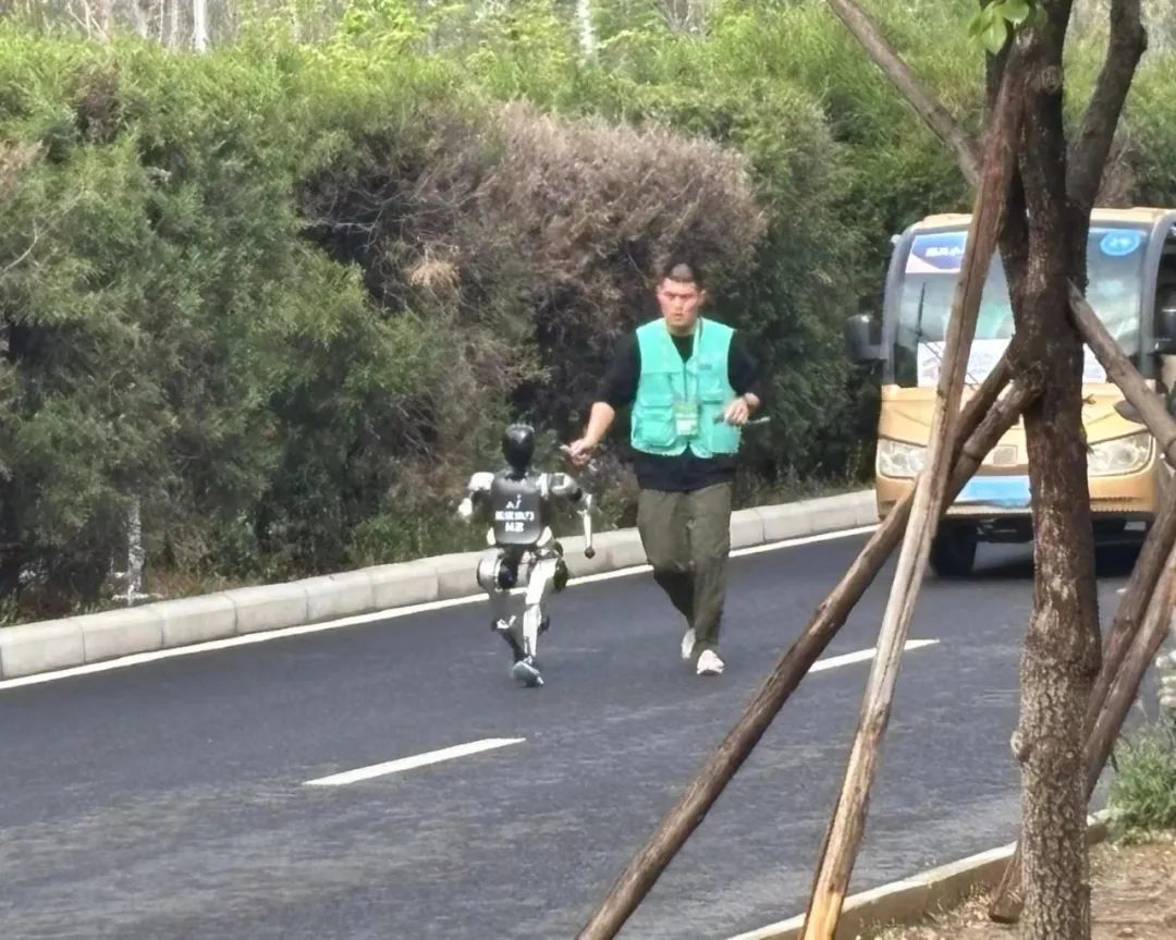 “小顽童”的步态矫健