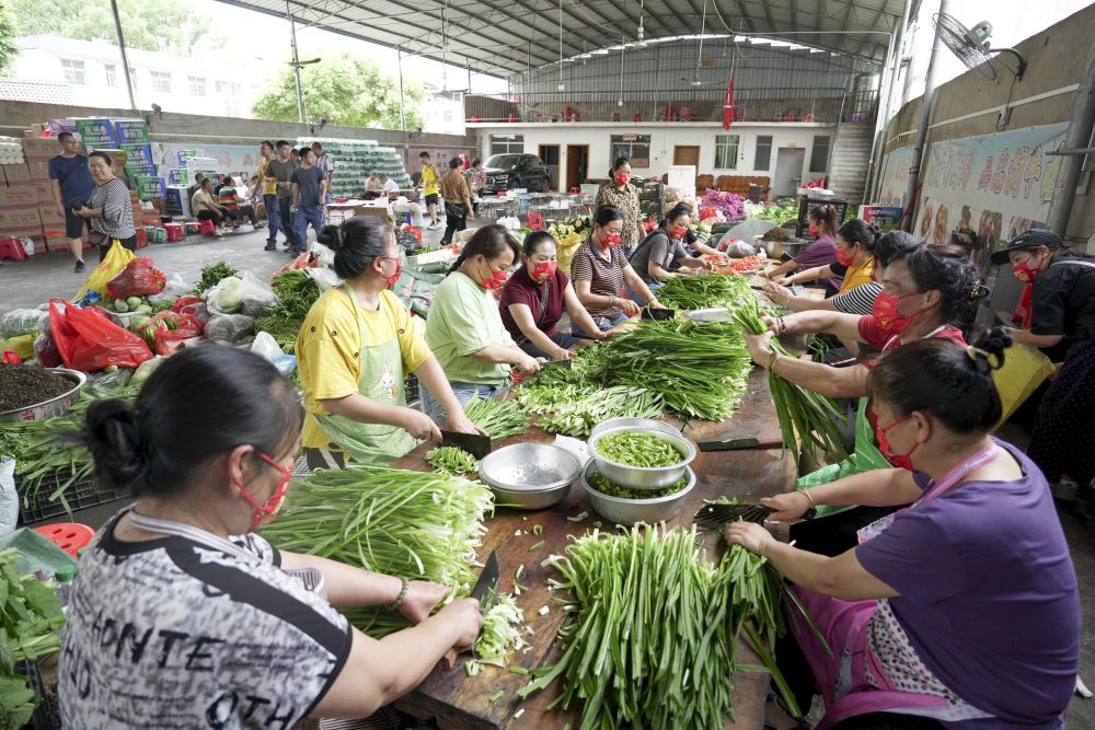 ↑6月26日,村民在忠诚镇一处后勤伙食保障点切菜。