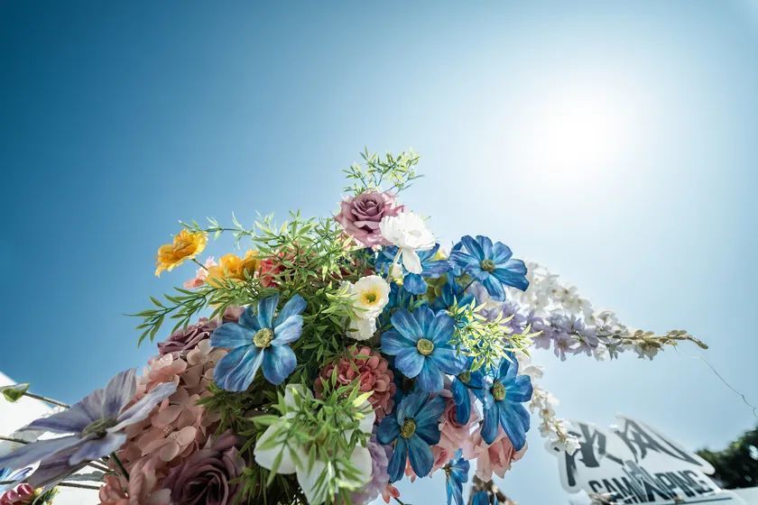 老蛙12mm F2.8评测