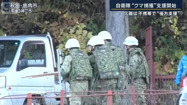 報(bào)道視頻截圖