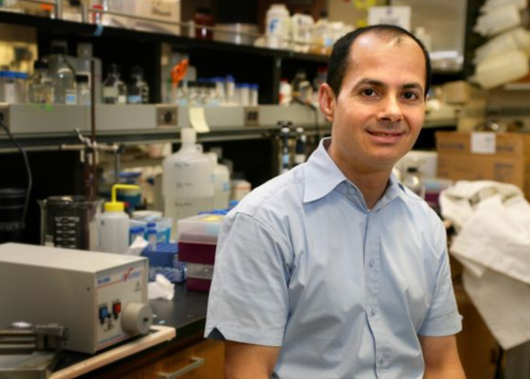 圖源:網(wǎng)絡(luò)