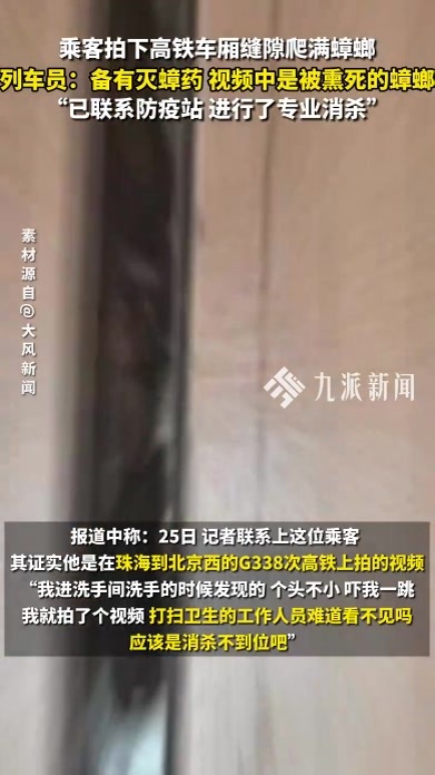 乘客拍下高铁车厢缝隙爬满蟑螂，列车员：备有灭蟑药，视频中是被熏死的蟑螂