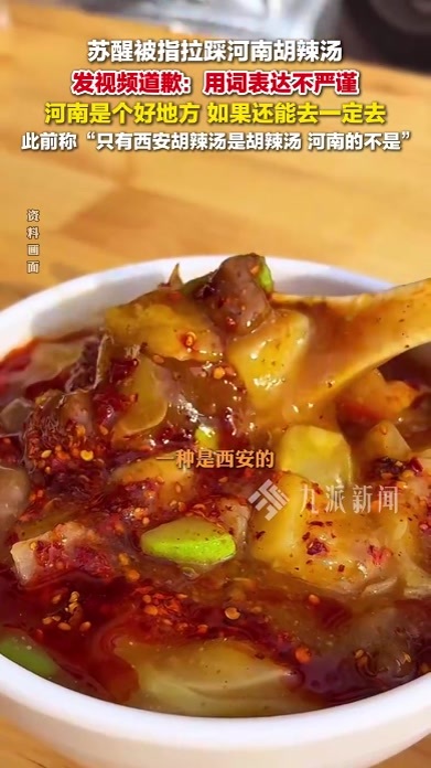 苏醒就胡辣汤言论道歉：用词表达不严谨，河南是个好地方，如果还能去一定去