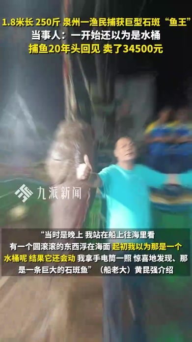 1.8米长、250斤！泉州渔民捕获巨型石斑“鱼王”：20多年第一次见，卖了34500元