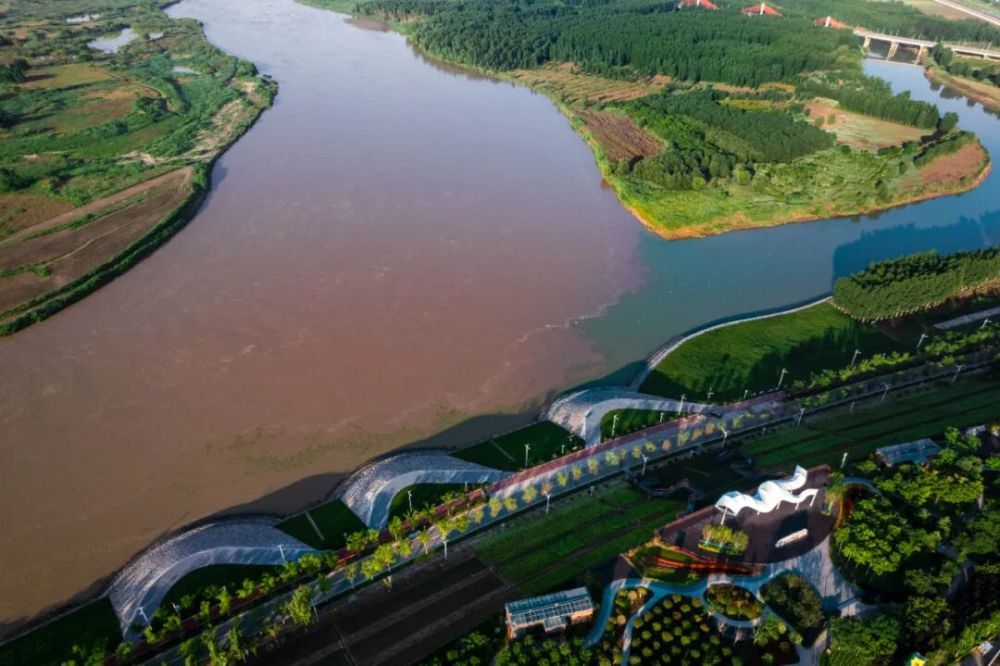 “泾渭分明”景色。