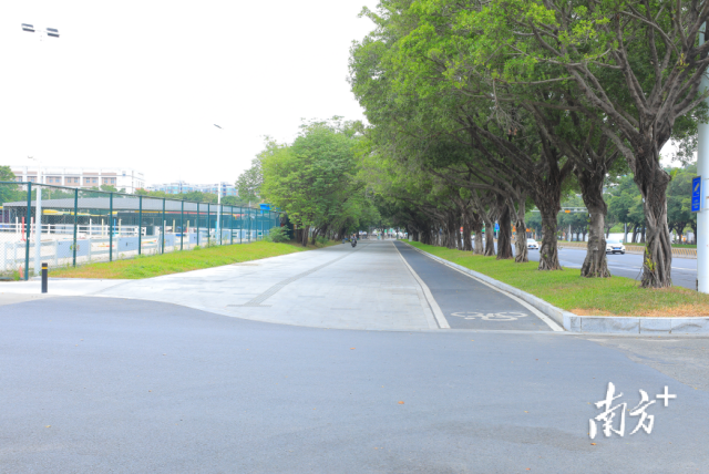 奥体中心全宽式放坡街角空间优化。