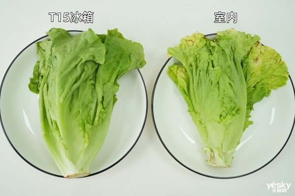 TCL冰麒麟深冷冰箱T15评测:-40℃深冷锁鲜+真双系统,重塑保鲜新高度
