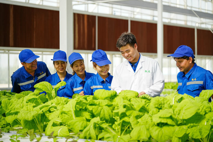 2025年6月25日，在新疆阿克苏地区库车市甬库同心村智慧农业植物工厂，技术人员在培训从当地招聘的农业产业工人。新华社记者 徐宏岩 摄
