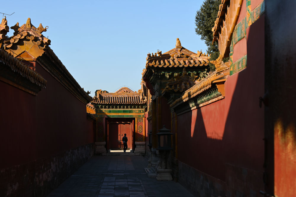 2023年/摄影:金良快