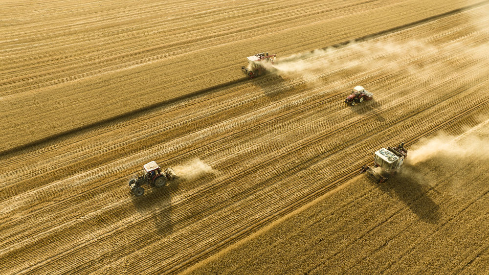 2025年6月4日,在河南省商丘市梁园区李庄镇潘堂村志诚种植农民专业合作社,农机手操作机械在农田作业(无人机照片)。新华社发(李恒 摄)