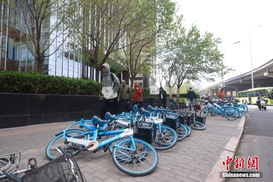 4月12日，便道上的共享单车被大风吹倒。当日白天，北京大风进入本次过程最强时段。中新社记者 贾天勇 摄