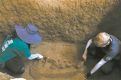 Daniel(右)在清理殉狗遗骨