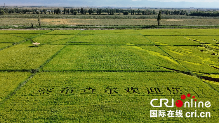 图片默认标题_fororder_图片1