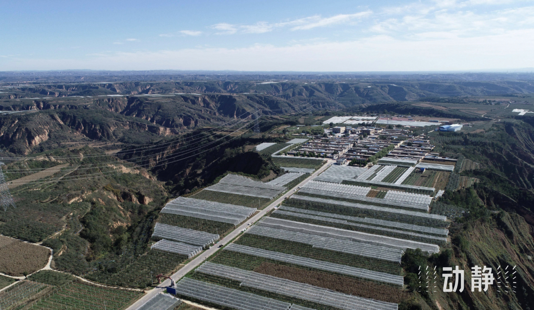 延安苹果基地