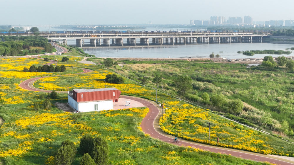 5月19日，骑行爱好者在石家庄市环城绿道骑行（无人机照片）。