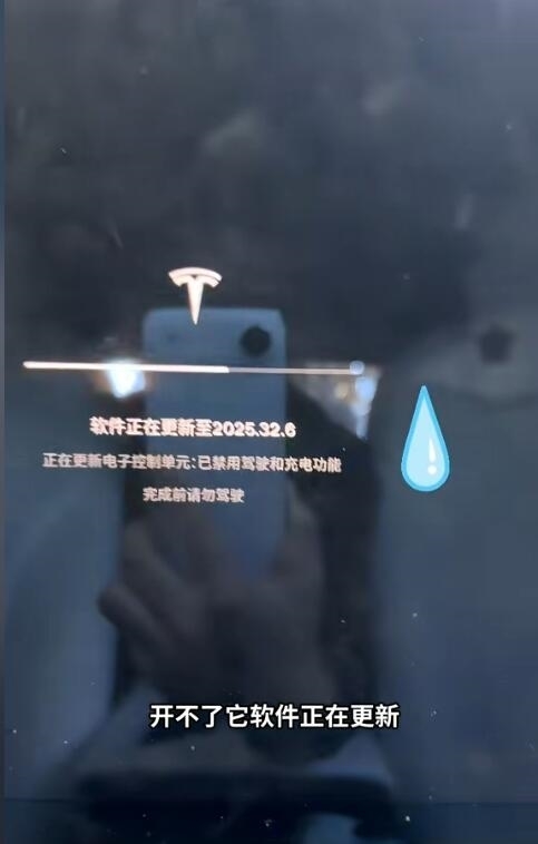 网友质疑杨天真吐槽系统更新打不开车门 从后备箱爬进去 特斯拉回应