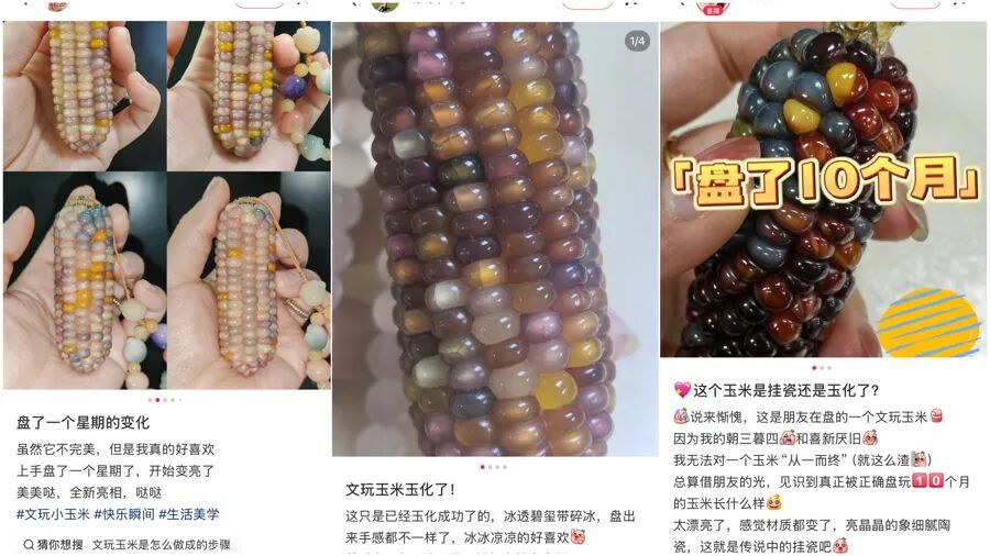 社交平臺(tái)有很多網(wǎng)友分享“盤玉米”的成果(網(wǎng)絡(luò)截屏)