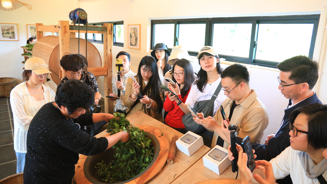 非物质文化遗产武夷岩茶（大红袍）制作技艺传承人游玉琼带领媒体记者体验炒茶 潮新闻记者 朱骅超摄