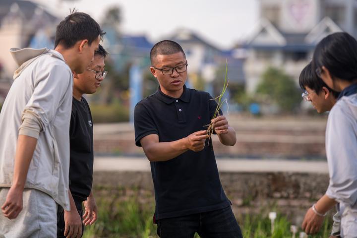 今年37岁的黄光福是云南大学农学院的一名青年教师,同时也是云南大学在云南省勐海县勐遮镇曼恩村成立的多年生稻科技小院的负责人。多年来,他带领学生扎根田间,进行技术攻关。团队利用长雄野生稻特有的地下茎无性繁殖能力,成功培育出“云大25”“云大107”等新品种,突破性地实现水稻“一次栽种、连续收割”,让“割韭菜般收稻子”的农业成果从实验室走向田间地头。这是2025年2月27日,青年教师黄光福(中)在试验田间给学生授课。