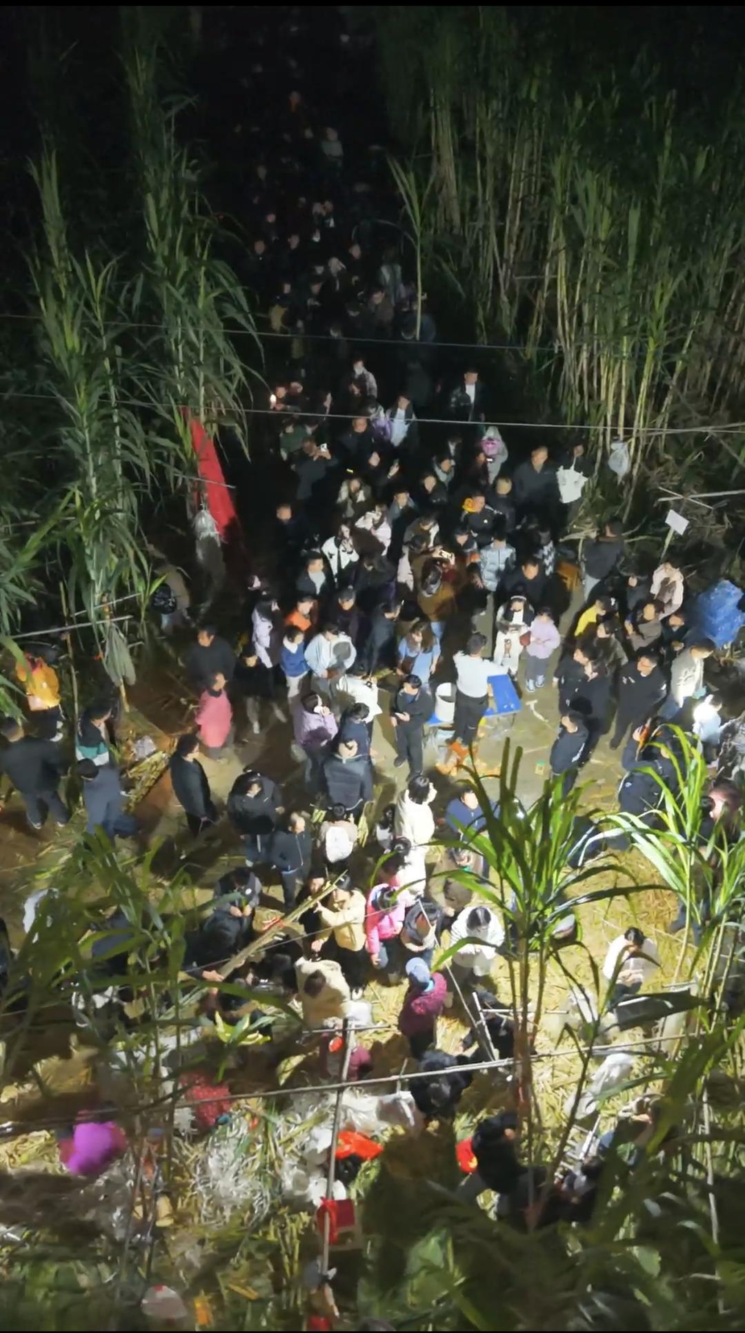 ▲入夜后童鹏飞甘蔗地里人头攒动 图据:小二爱航拍