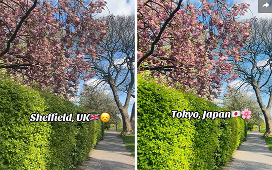 英国网友分享的画面对比视频截图