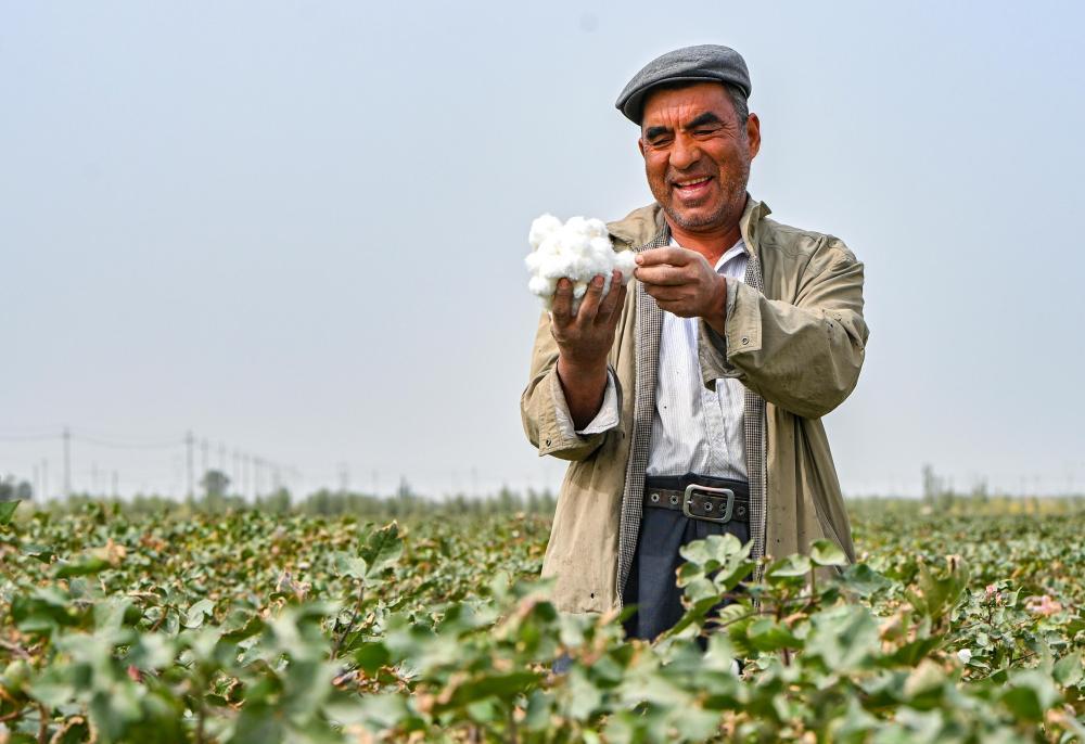 9月19日,尉犁县达西村二组村民艾合买提·吐尔逊在棉田里查看棉花。