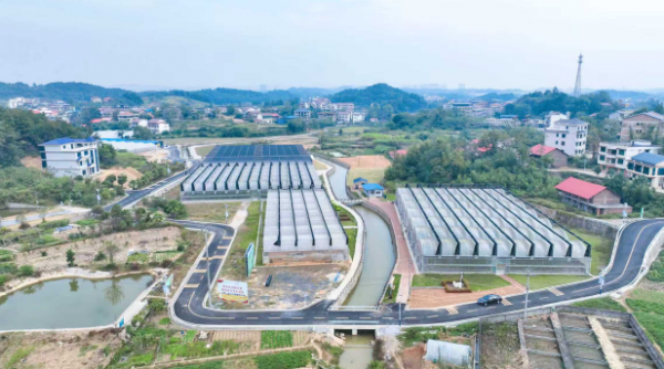 截图20251113103656