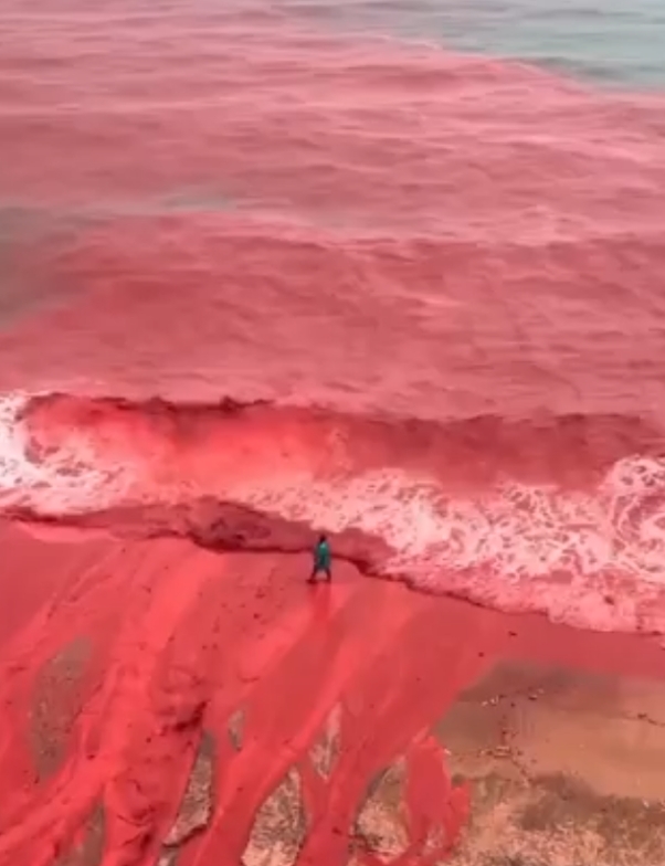 伊朗霍尔木兹岛部分海岸线变成“血色海洋”。图源:社交媒体X视频截图