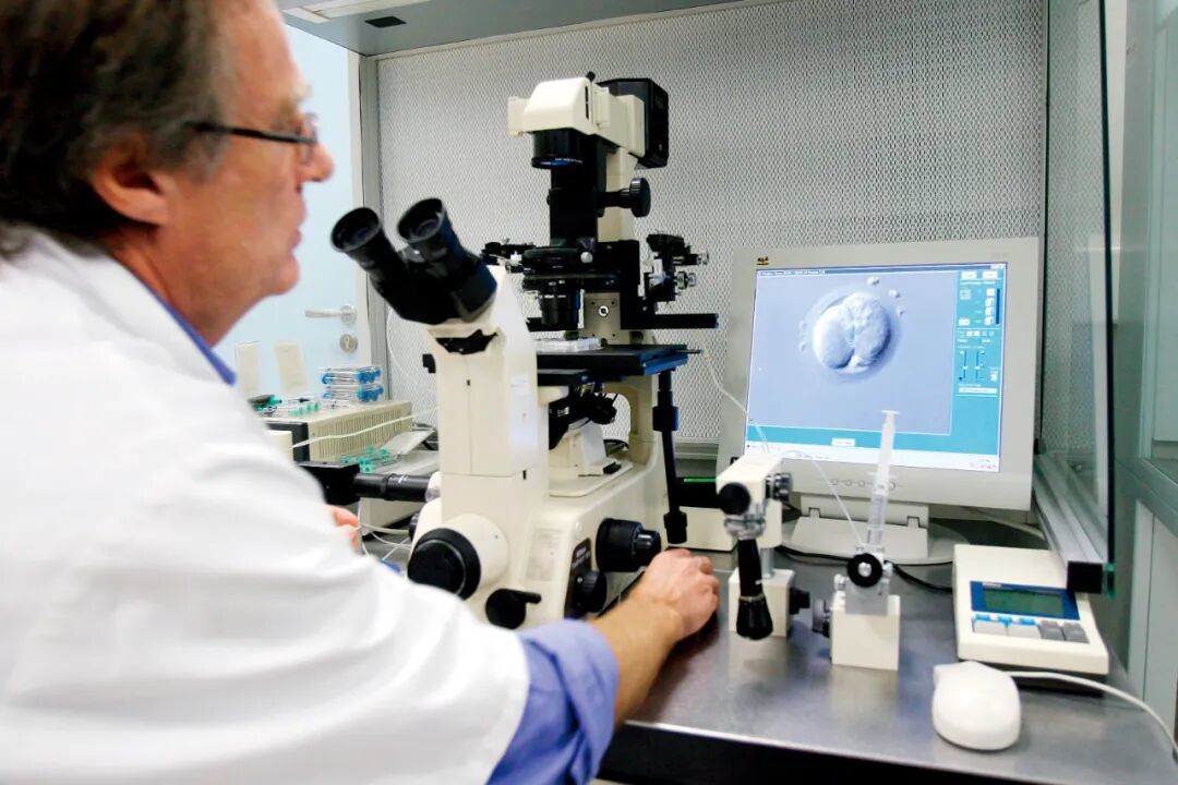 法国一家精子银行内,工作人员通过显微镜观察人类胚胎。图/视觉中国