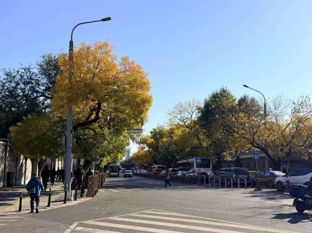 北京朝阳如今的街景 图源:受访者