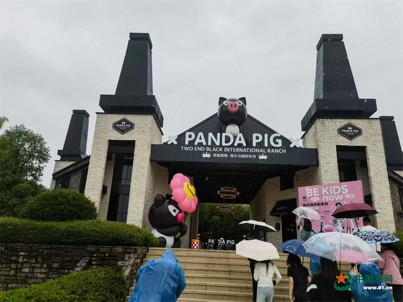 金华熊猫猪猪两头乌国际牧场。