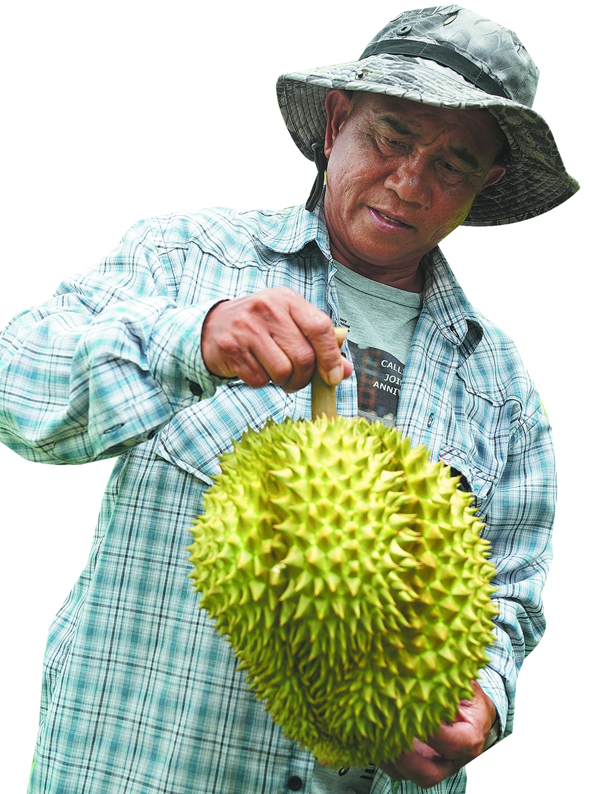 当地农民乔德&middot;占布帕正在展示他种植的榴莲。（图片来源：中国日报 杨万丽 摄）