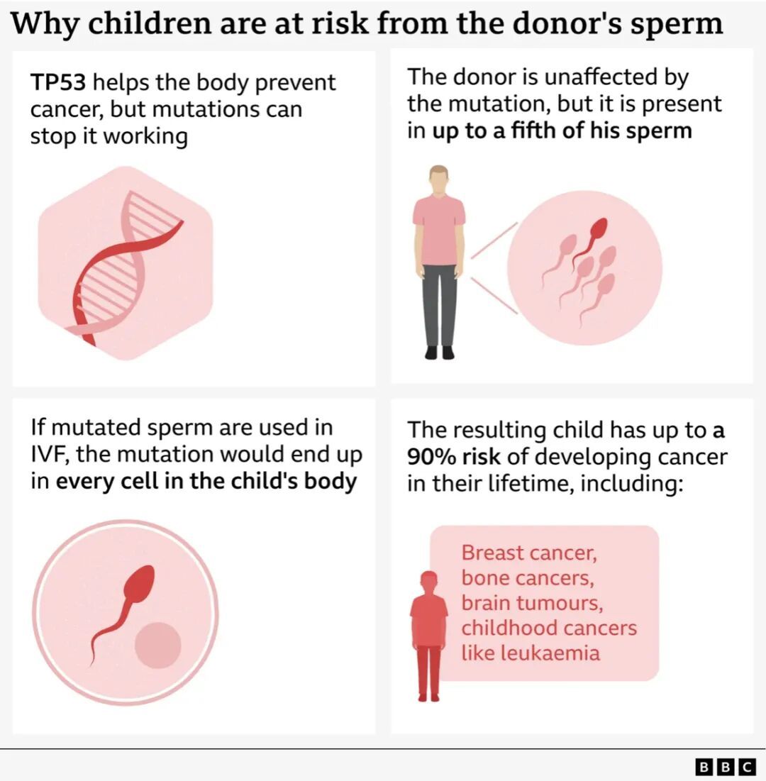 Donor7069捐赠的精子中携带着TP53突变,受精后的孩子一生中患癌风险高达90%