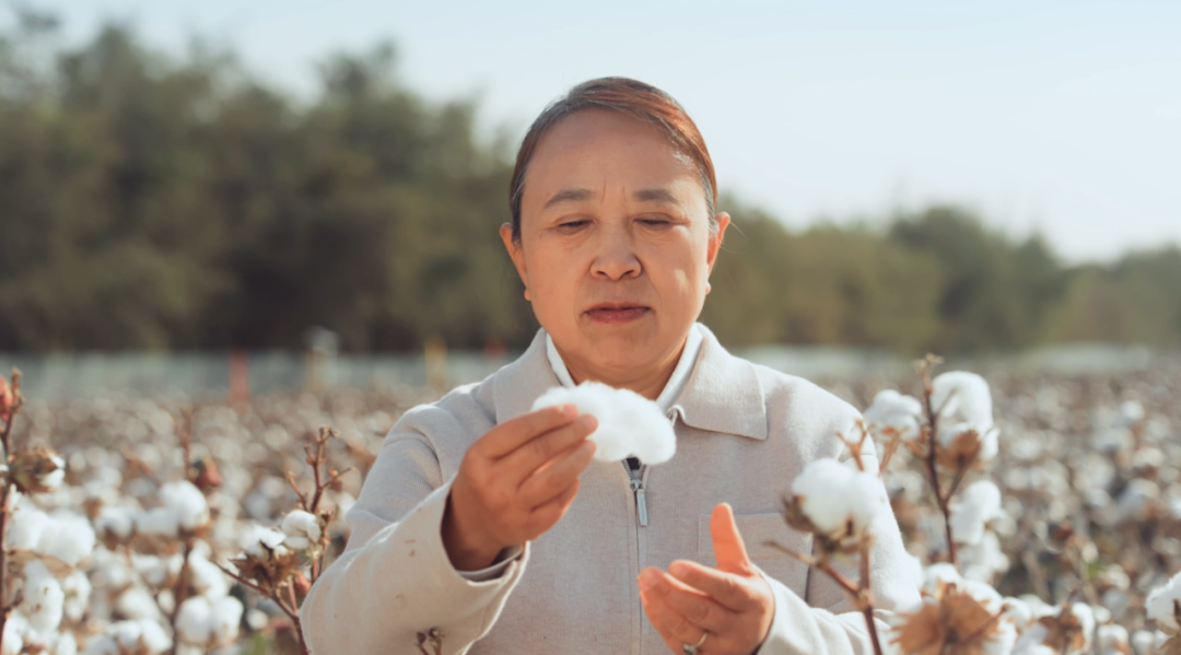 宋美珍查看棉田中棉花的长势