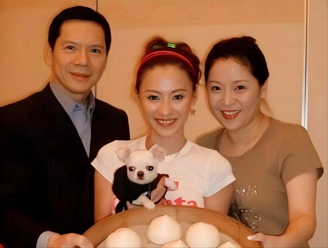 张柏芝和向华强夫妻