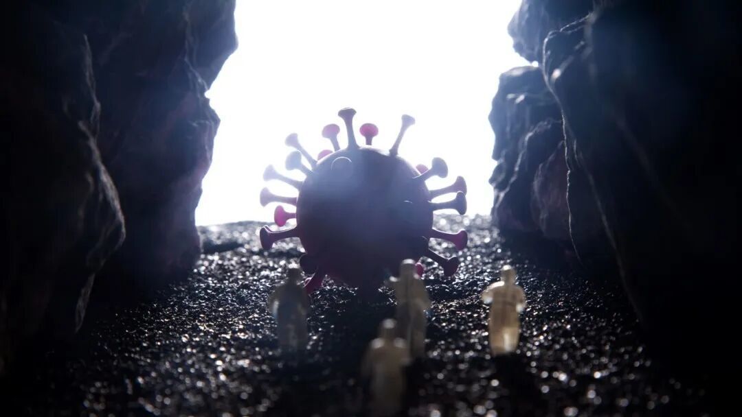 广阔的自然界中还存在着人类尚未监测到的野生动物“黑箱”,病毒可能在其中静默演化后“再出山”丨图虫创意