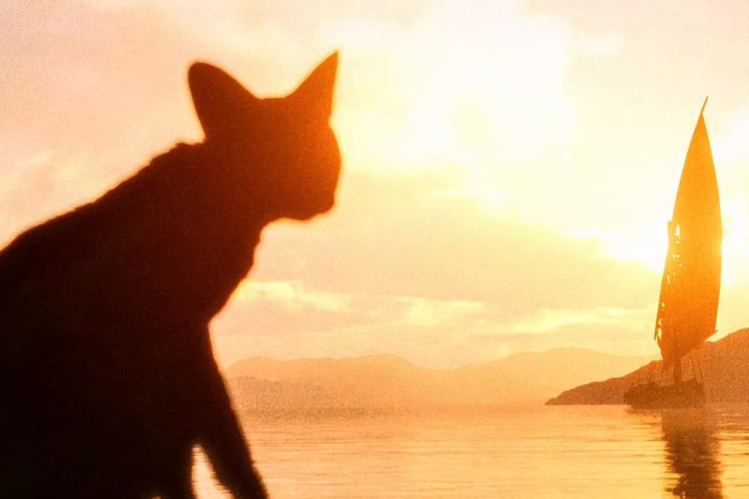 全程无对白，动画电影《猫猫的奇幻漂流》今日上映_凤凰网