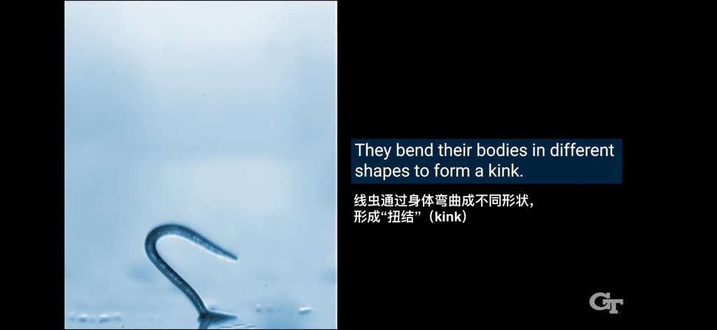 科学家研发出无腿机器人 跳跃能力惊人最高达10英尺