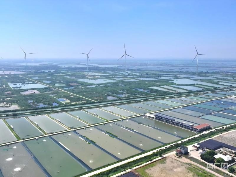 前黄镇渔光一体项目正在建设中（央广网发 蒋文泽 摄）