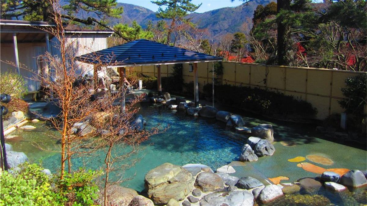 箱根的温泉酒店 (图源网络)