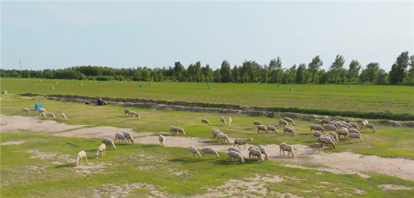 在玉米地和牧场里采铀!中国的铀矿到底是怎么开采的