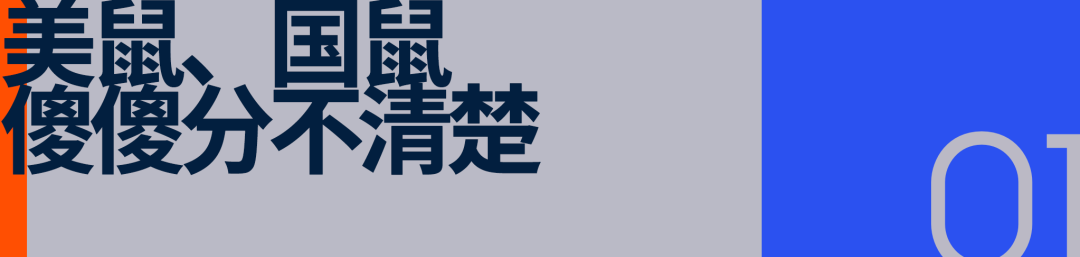 土拨鼠二进宫，三夫户外不想只是品牌的「货架」__土拨鼠二进宫，三夫户外不想只是品牌的「货架」