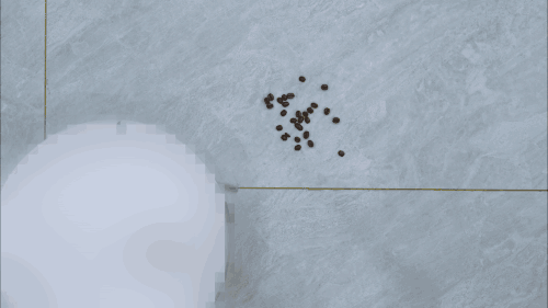 科沃斯地宝X9 PRO实测:飓风吸尘+活水滚筒洗地如何碾压传统扫地机?