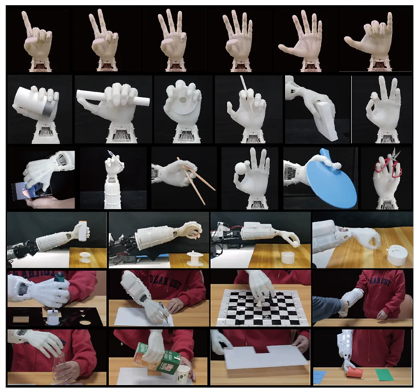 复现人手级运动能力!中国科大研发出19自由度假肢灵巧手