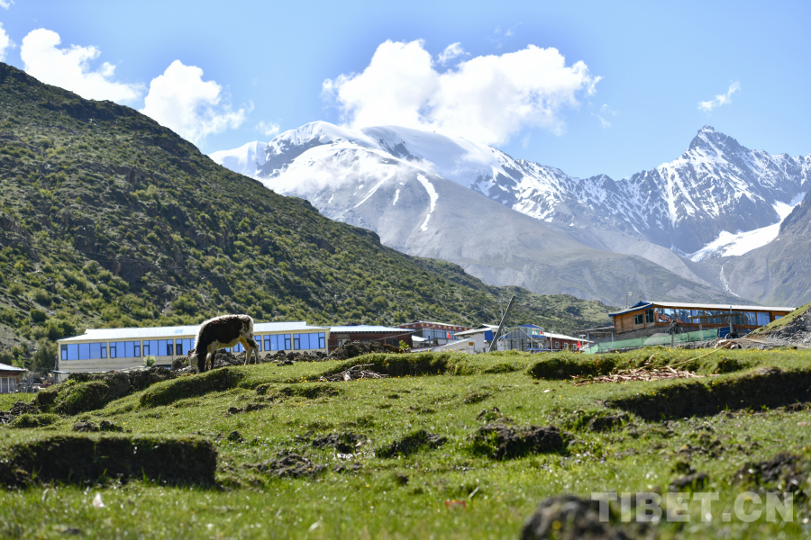 图为然乌镇来古村内的特色民宿 摄影:赵振宇