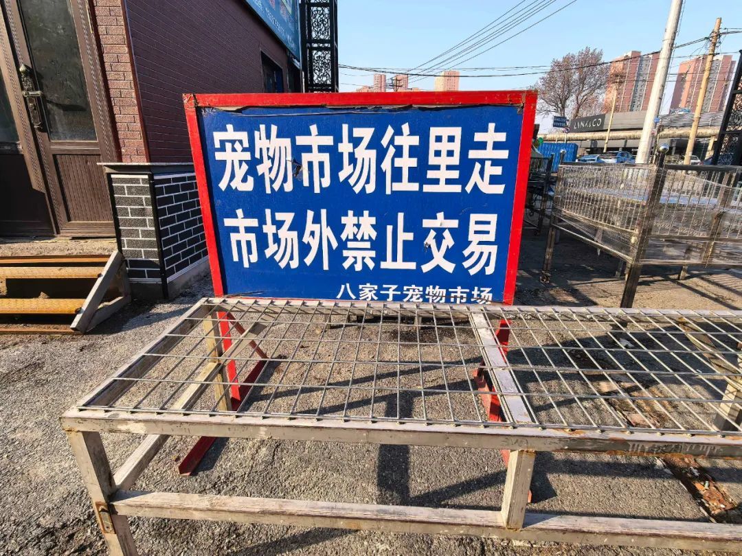 八家子宠物市场设置的“市场外禁止交易”告示。摄影/本刊记者 李明子